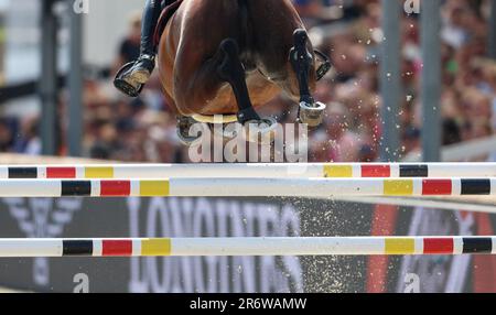 Balve, Deutschland. 11. Juni 2023. Pferdesport: Deutsche Meisterschaft, Showsprung. Show Jumper Harm Lahde reitet Commander Bond von Oak Grove bei der German Show Jumping Championships. Kredit: Friso Gentsch/dpa/Alamy Live News Stockfoto