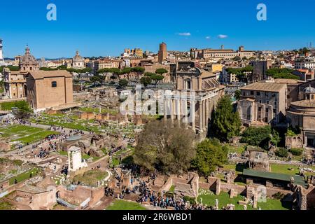 Das Forum Romanum befindet sich im Zentrum der antiken Stadt Rom von Palatin aus gesehen, Rom, Italien Stockfoto