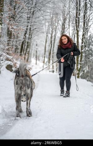 Eine Weiße macht einen gemütlichen Winterspaziergang in einer malerischen Umgebung Stockfoto