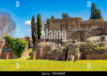 Teil des Palastes Domitian, Palatin, Rom, Italien Stockfoto