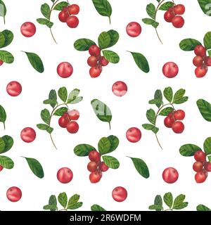 Nahtloses Muster mit Cowberry Red Beers Vaccinium vitis-idaea, Preiselbeere, Mountain Cranberry. Handgezeichnete Aquarellzeichnung Stockfoto