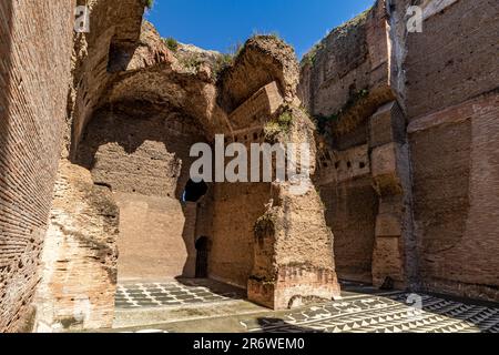 Reich verzierte Bodenmosaike in den Caracalla-Bädern, die Caracalla-Bäder waren die zweitgrößte antike Therme in Rom, Italien Stockfoto