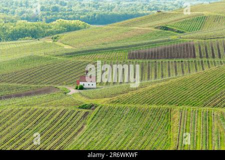 Eichert Kapelle auf dem Weinberg im Frühling. Sasbach am Kaiserstuhl, Emmendingen Bade-Würtemberg, Allemagne, Europa. Stockfoto