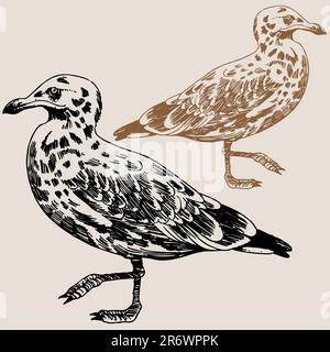 Handgezeichnetes Bild einer Möwe. Stock Vektor