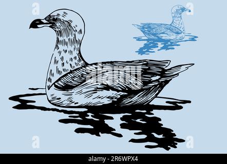 Handgezeichnetes Bild einer schwimmenden Möwe. Stock Vektor