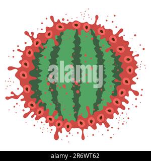 Vector Fresh Sweet Natural Reife Wassermelone Muster mit Samen isoliert auf weißem Hintergrund Stock Vektor