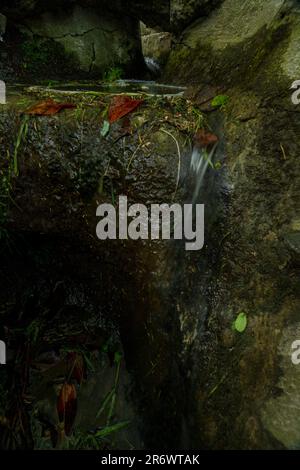 Faszinierender kleiner städtischer Wasserfall im Parc des Buttes-Chaumont aus nächster Nähe. Intime Naturlandschaft in Paris, Frankreich Stockfoto