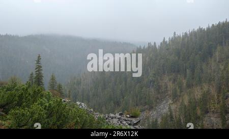 Bergkette. Neblige Berge nach dem Regen. Nebel in den Bergen. Der Sommerregen strömt über den grünen Wald Stockfoto