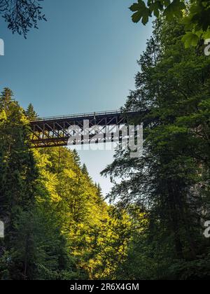 Fahrradbrücke Alte Zugbrücke von unten gesehen in der Schlucht der Orrido dello slizza in Tarvisio, Italien, Friuli, Alpen-Adria Stockfoto