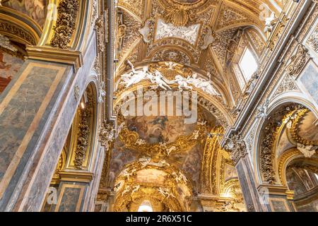 Das Innere von Chiesa di Santa Maria dell'Orto im Stadtteil Trastevere in Rom, Italien Stockfoto