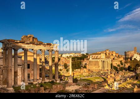 Das Forum Romanum im historischen Zentrum Roms gehört zum UNESCO-Weltkulturerbe Rom, Italien Stockfoto