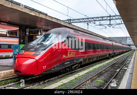 Ein Italo Evo Hochgeschwindigkeitszug an einem Bahnsteig am Bahnhof Roma Termini, Rom, Italien Stockfoto