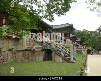 Eine der Steintreppen mit Lotusblüten- und Sieben Schatzbrücken, die zum Paradiestor und zur Halle des reinen Landes, dem Bulguksa-Tempel, führen Stockfoto