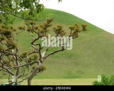 Tumuli Park, Gyeongju: Die unverwechselbaren Grashügel, die königlichen Grabkammern der Silla-Dynastie in Südkorea. Stockfoto