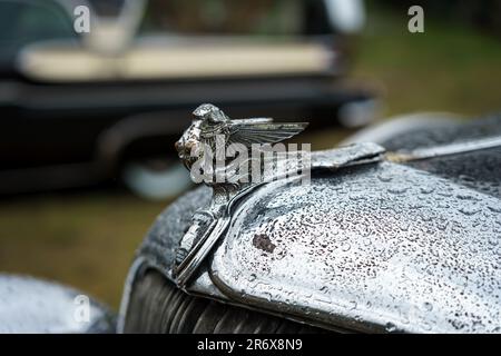 Die Motorhaubendekoration des großen Autos Plymouth De Luxe in Tropfen des Regens, 1934. Nahaufnahme. Rennfestival 2023. Saisoneröffnung. Stockfoto