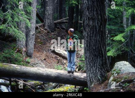 Genießen Sie Zeit tief im Wald im Olympic National Park in Washington Stockfoto