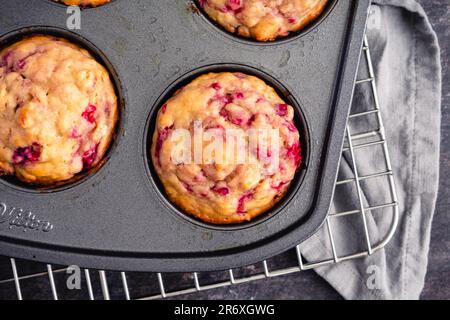 Frisch gebackene Himbeermuffins in einer Muffin-Pfanne mit Antihaftbeschichtung: Frühstücks- oder Dessert-Muffins mit Früchten, die von oben in Muffin-Dose betrachtet werden Stockfoto