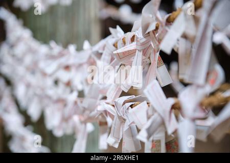 Ungewollte Omikuji, die an Musubidokoro gebunden sind, um das Unglück hinter sich zu lassen. Stockfoto