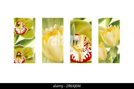 4-Panel-Szene mit 3D Orchideen und gelben Tulpen. Stock Vektor
