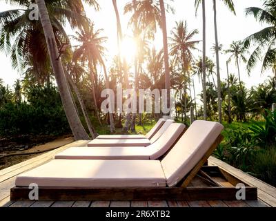 Vier leere Holzliegen mit Bettdecken, Kissen, Dekoration auf einer hölzernen Terrasse in der Nähe des tropischen Palmendschungels in der Nähe des Strandes am Sommersonnenhimmel Stockfoto