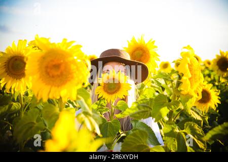 Ensaio fotográfico no campo de Girassóis, Região do PAD/DF - Brasília - Brasilien. Stockfoto