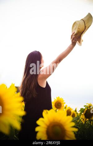 Ensaio fotográfico no campo de Girassóis, Região do PAD/DF - Brasília - Brasilien. Stockfoto