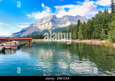 Leuchtende Kamillenblumen am Ufer des Lake Minnewanka mit dem Cascade Mountain im Hintergrund in den Kanadischen Rockies Stockfoto
