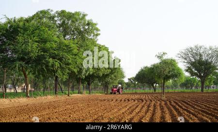Landwirt mit Traktorsäen, Erntegut auf dem Feld aussäen. Die Aussaat ist der Vorgang, bei dem im Rahmen der Landwirtschaft im Frühjahr Saatgut in den Boden gepflanzt wird Stockfoto