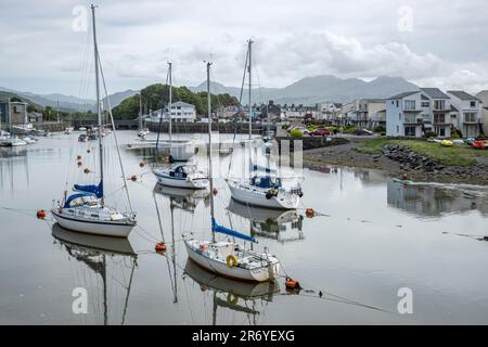 Yachten liegen im Hafen von Porthmadog vor Stockfoto