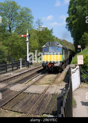 North York Moors Railway Dieselmotor BR Klasse 25 Nr. D7628 ‚Sybilla‘ Stockfoto