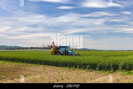 Der Traktor besprüht ein Haferfeld. Moderne Geräte funktionieren vor Ort. Stockfoto