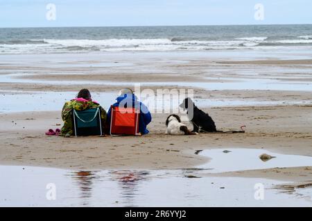 Ein Paar mit Hunden, die auf dem kalten und windigen Saltburn Beach Yorkshire sitzen Stockfoto