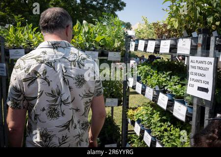 Topfpflanzen für Kräuter werden am 10. Juni 2023 auf der Lambeth Country Show in Brockwell Park, Herne Hill, South London, in London, England, verkauft. Stockfoto