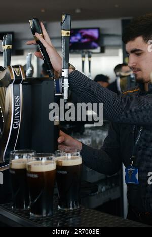 Genießen Sie ein Pint Guinness Stout in der Dachbar des Guinness Storehouse in St. James's Gate in Dublin, Irland. Stockfoto