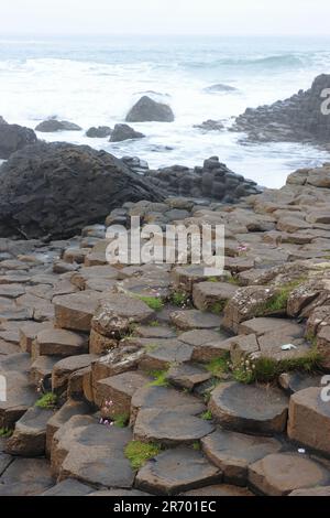 Felsformationen am Giant's Causeway, Country Antrim, Nordirland Stockfoto