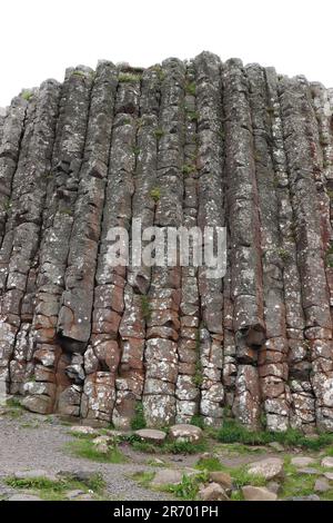 Felsformationen am Giant's Causeway, Country Antrim, Nordirland Stockfoto