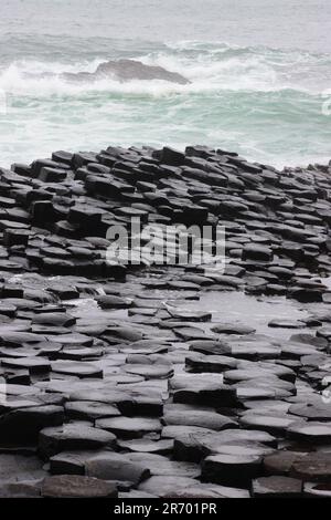 Felsformationen am Giant's Causeway, Country Antrim, Nordirland Stockfoto