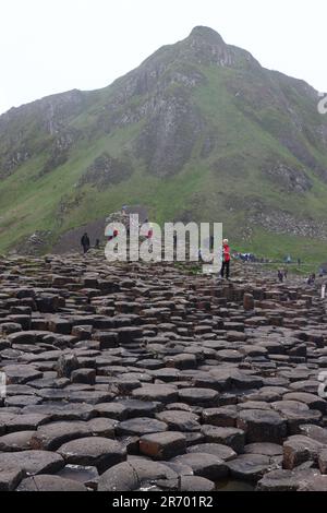 Felsformationen am Giant's Causeway, Country Antrim, Nordirland Stockfoto