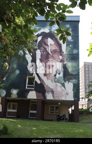 Nuart Street Art, Aberdeen Stockfoto