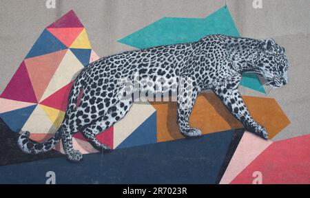 Nuart Street Art, Aberdeen Stockfoto