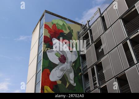 Nuart Street Art, Aberdeen Stockfoto