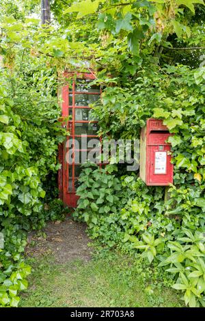 Rotes Telefon und Briefkasten in Großbritannien, versteckt von Büschen und Bäumen Stockfoto