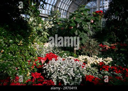 Garfield Park Conservatory Stockfoto