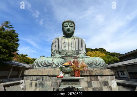 Der große Buddha in Kōtoku-in, Kamakura, Japan. Stockfoto