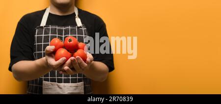 Nicht erkennbare Schürze mit frischen Bio-Tomaten auf gelbem Hintergrund. Gemüse und gesunde Lebensmittel Konzept Stockfoto