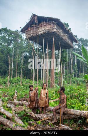 Nur wenige Leute sind Korowai-Stämme in der Nähe seines Hauses im Dschungel. Stamm der Korowai (Kombai, Kolufo). 10. Juni 2016 in Onni Village, Neuguinea, Indonesien Stockfoto