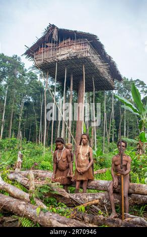 Nur wenige Leute sind Korowai-Stämme in der Nähe seines Hauses im Dschungel. Stamm der Korowai (Kombai, Kolufo). 10. Juni 2016 in Onni Village, Neuguinea, Indonesien Stockfoto