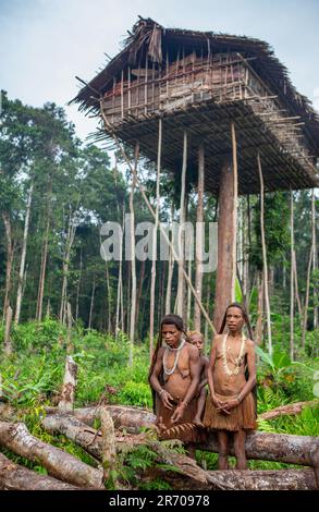 Nur wenige Leute sind Korowai-Stämme in der Nähe seines Hauses im Dschungel. Stamm der Korowai (Kombai, Kolufo). 10. Juni 2016 in Onni Village, Neuguinea, Indonesien Stockfoto