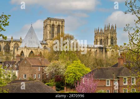 Erhöhte Aussicht auf die Nordfassade des York Minster und das graue konische Bleidach des Kapitelhauses von der Stadtmauer aus gesehen Stockfoto