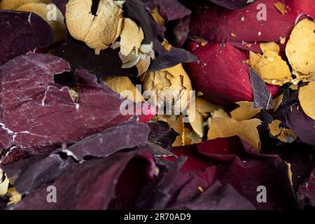 Eine alte trockene Rose mit Krümeln von trockenen Blütenblättern, eine alte getrocknete Rose mit vielen zerbrochenen Knospenblüten Stockfoto